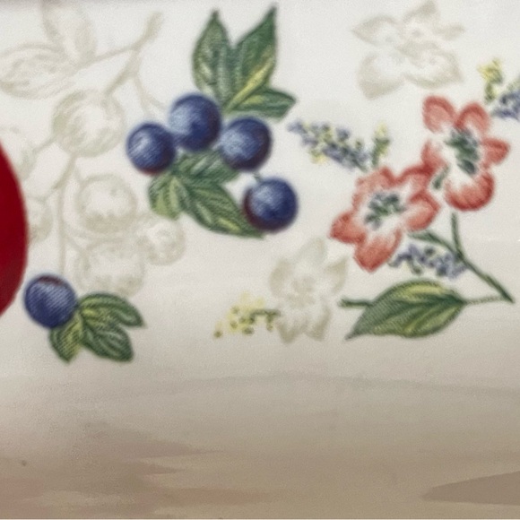 Rare Corelle Coordinates Chutney Fruit 9 X 13 Cake Pan - Picture 1 of 4